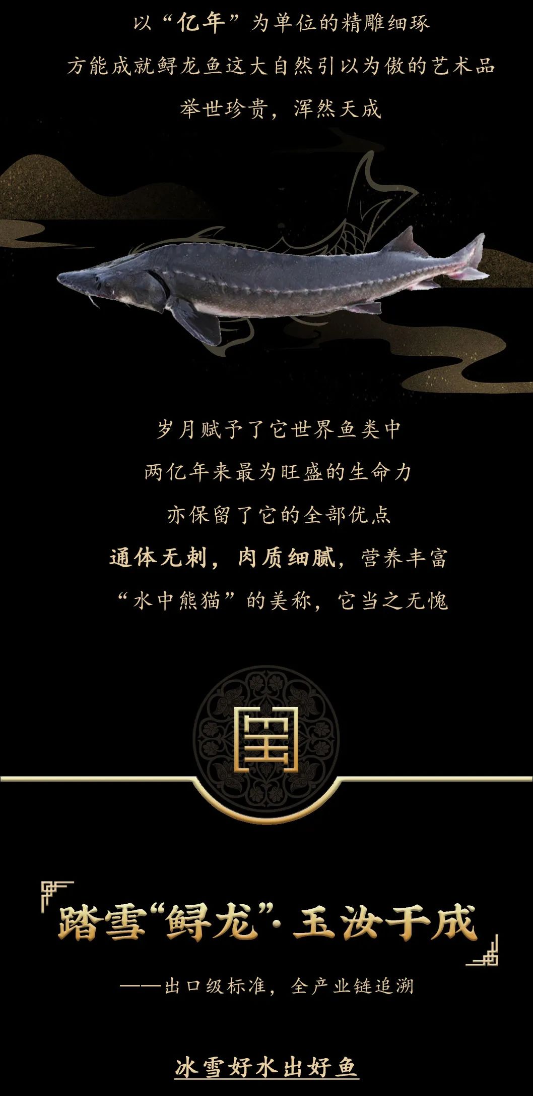 九州鱘龍魚片上新 | 自然臻藏，獻給吃魚有講究的人